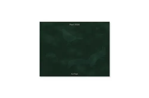 Couverture de Plates I-XXXI