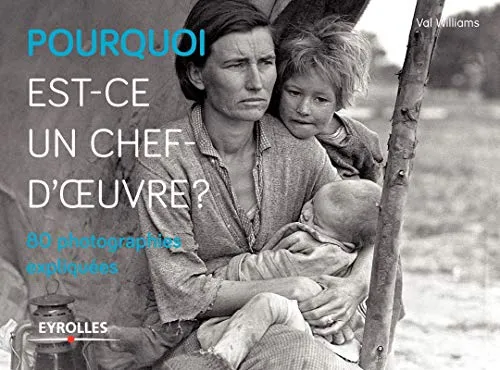 Couverture de Pourquoi est-ce un chef-d'œuvre ? 80 photographies expliquées.