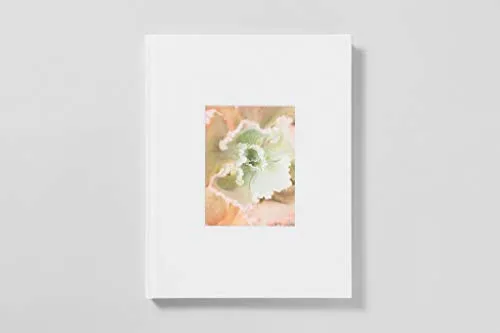 Couverture de Bushes & Succulents
