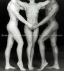 Couverture de Robert Mapplethorpe and the Classical Tradition: Photographs and Mannerist Prints
