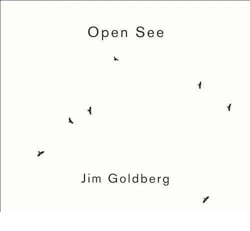 Couverture de Open See