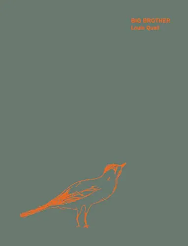 Couverture de Big Brother