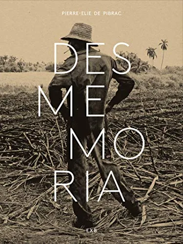 Couverture de Desmemoria