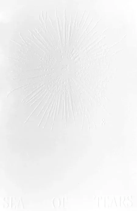 Couverture de Algues Maudites, a Sea of Tears
