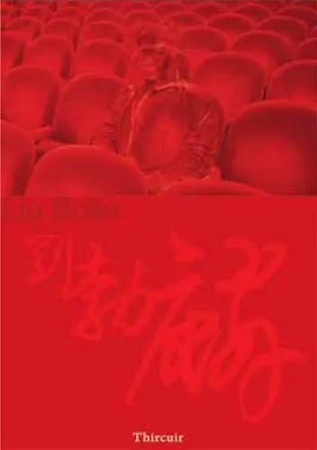 Couverture de Liu Bolin : Hiding in the City