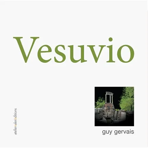 Couverture de Vesuvio