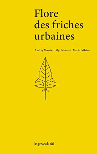 Couverture de Flore des friches urbaines du nord de la France et des régions voisines