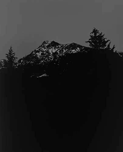 Couverture de The Living Mountain