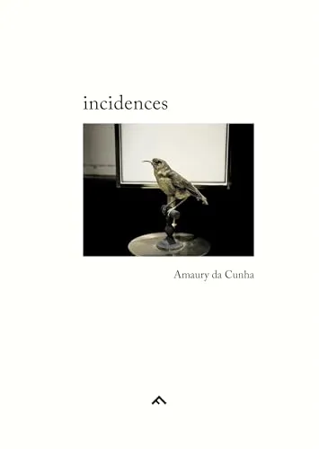 Couverture de Incidences
