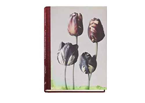 Couverture de Extravagantes