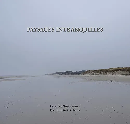 Couverture de Paysages intranquilles