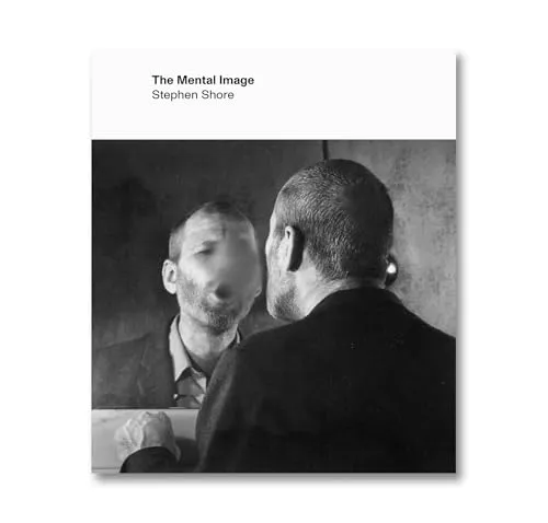 Couverture de The Mental Image