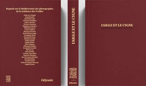 Couverture de L'aigle et le cygne