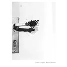 Couverture de Jochen Lempert Natural Sources (VERSION EN ALLEMAND) /allemand