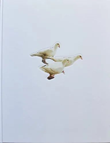 Couverture de Wild Pigeon