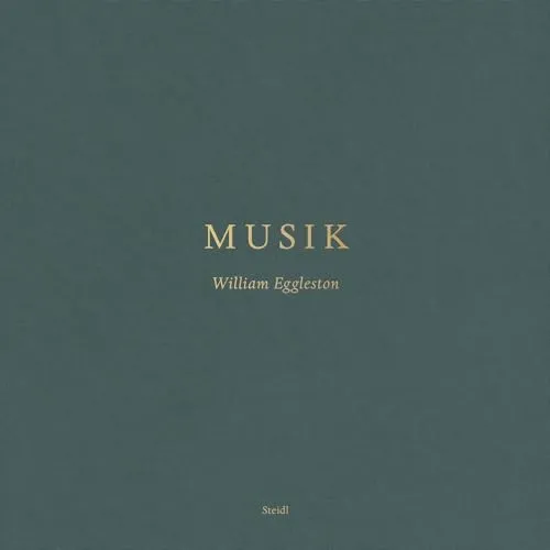 Couverture de Musik (Vinyl)