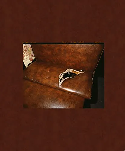 Couverture de Deana Lawson