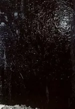 Couverture de Will They Sing Like Raindrops or Leave Me Thirsty