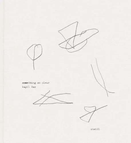 Couverture de Something So Clear