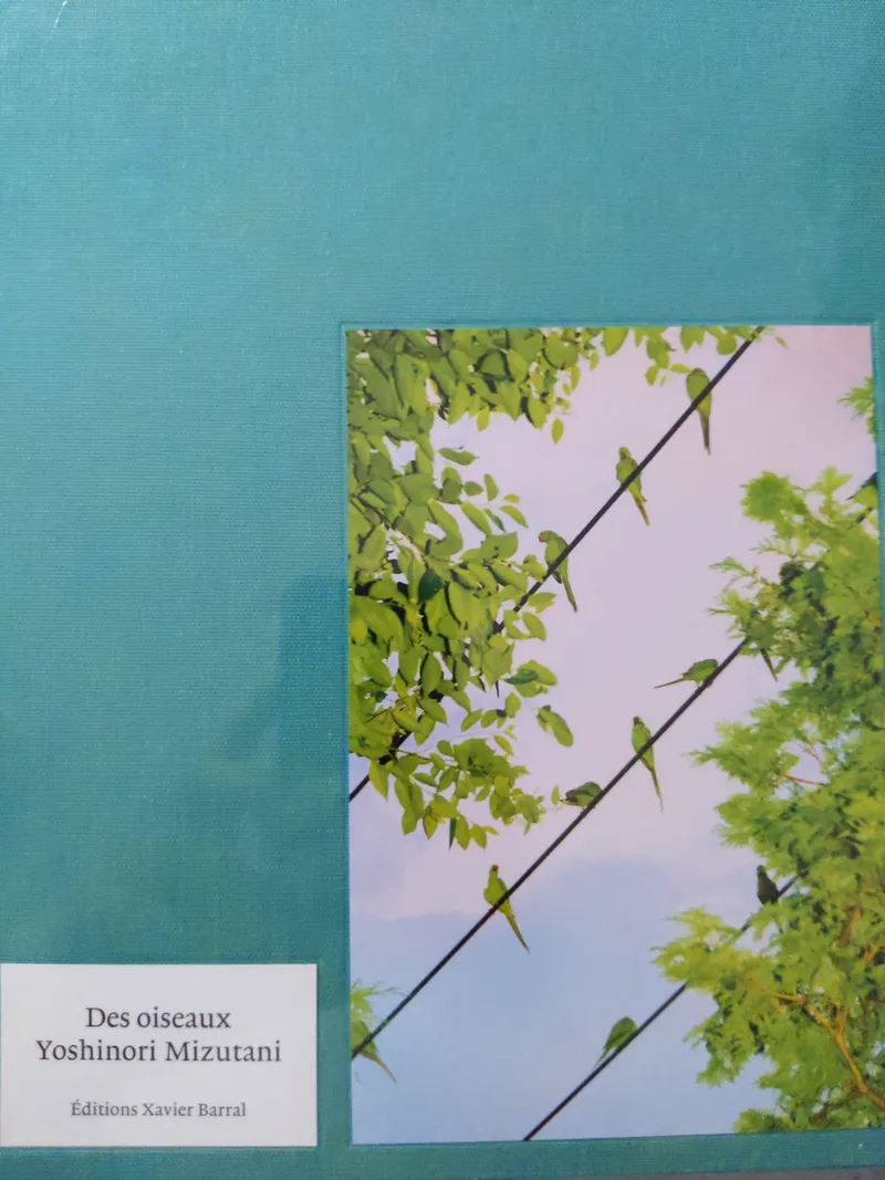 Couverture de Des Oiseaux