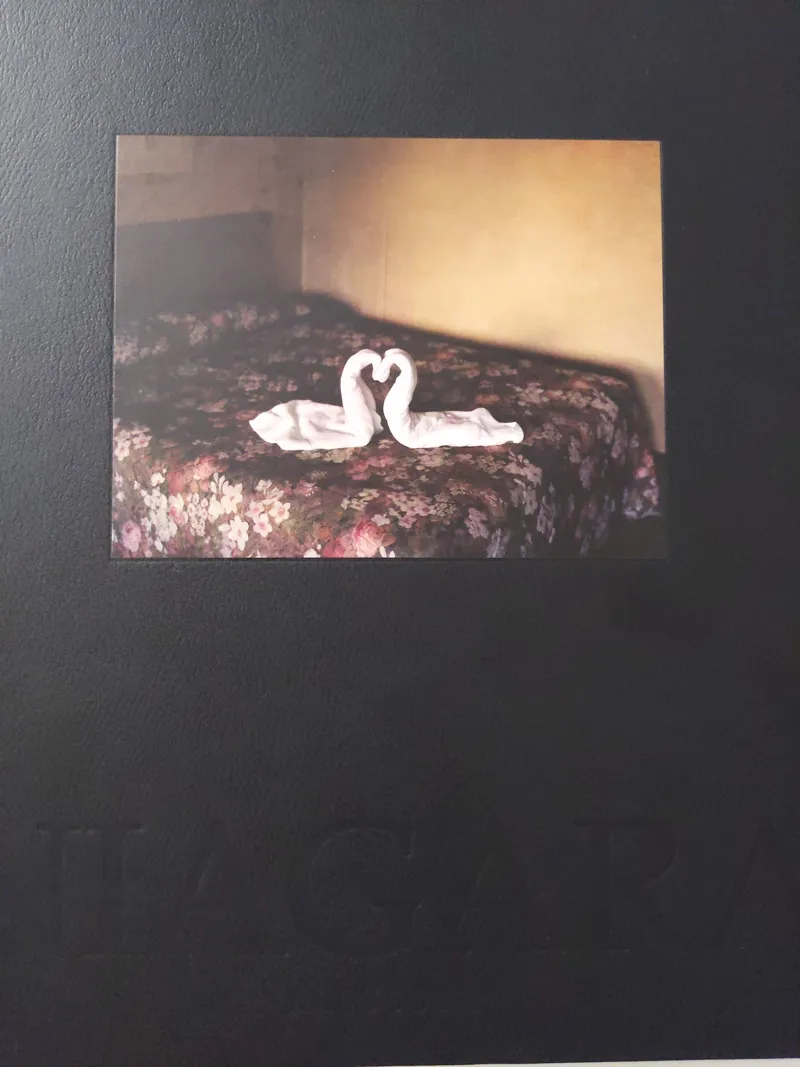 Couverture de Niagara