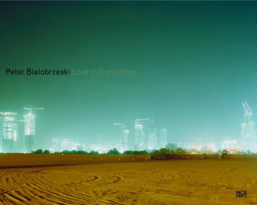 Couverture de Lost in transition