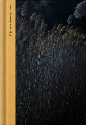 Couverture de Et je laisserai mes yeux voler