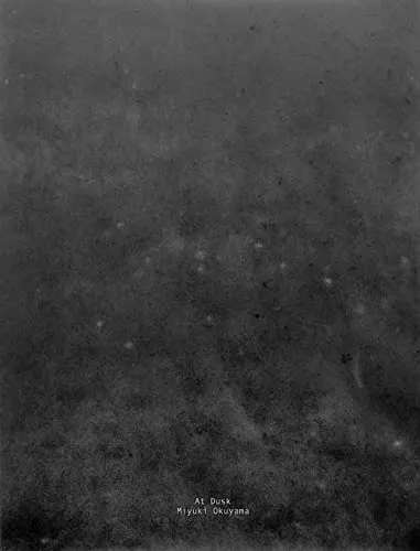Couverture de At Dusk