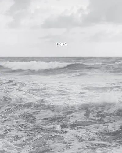 Couverture de The Sea