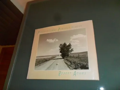 Couverture de Perfect Times Perfect Places