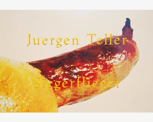 Couverture de Siegerflieger
