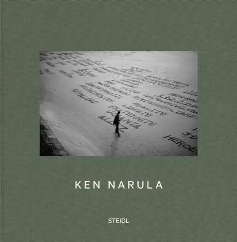 Couverture de Lost And Found