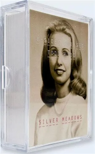 Couverture de Silver Meadows B-Sides Box Set