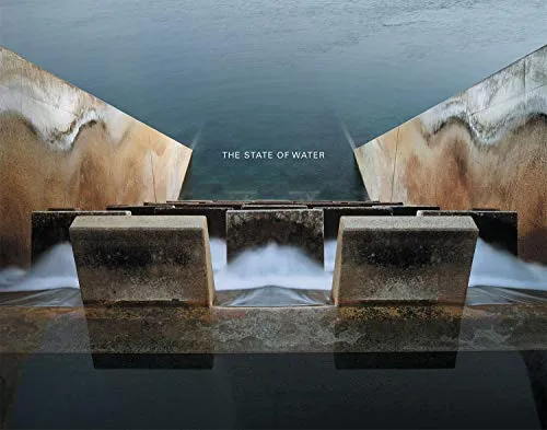 Couverture de The State Of Water