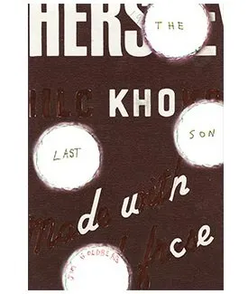 Couverture de The Last Son
