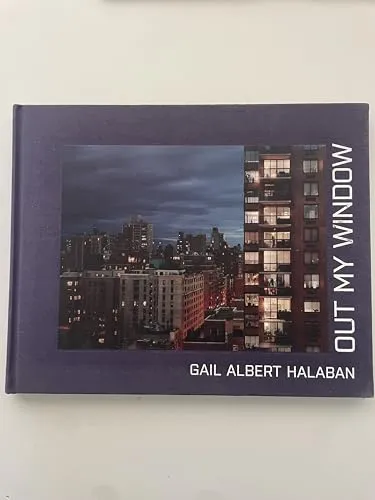 Couverture de Out My Window