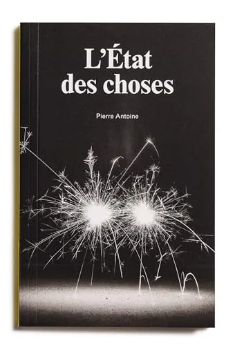 Couverture de L'état des choses