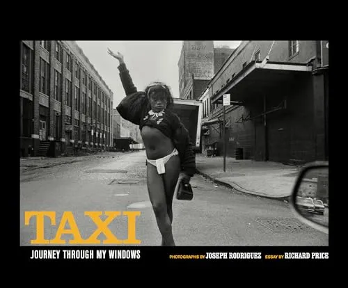 Couverture de Taxi - Journey Through My Windows
