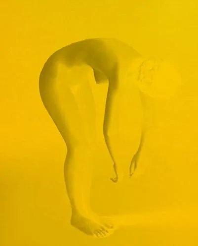 Couverture de Nothing Happens Twice