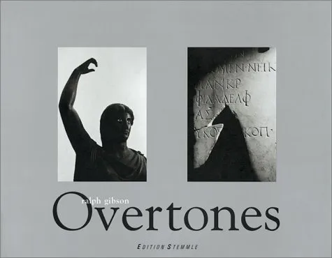 Couverture de Overtones: Diptychs and Proportions