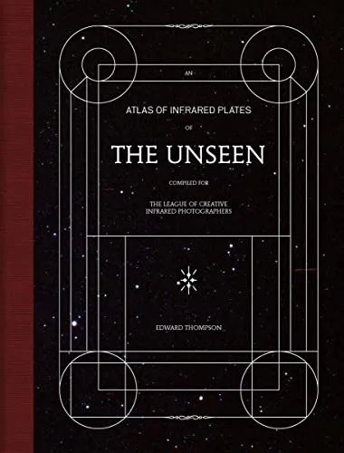 Couverture de The unseen