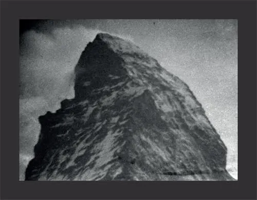 Couverture de The Minox Files
