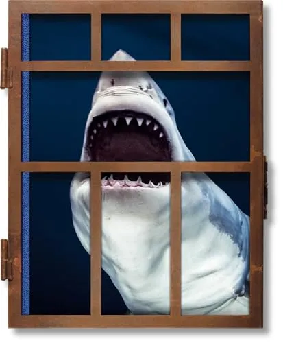 Couverture de Michael Muller. Sharks