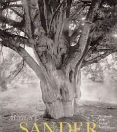 Couverture de Photographs of the German Landscape