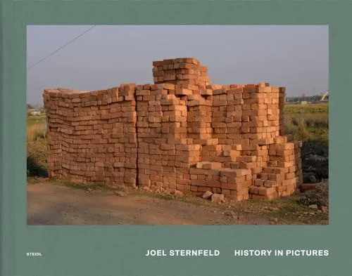 Couverture de History In Pictures