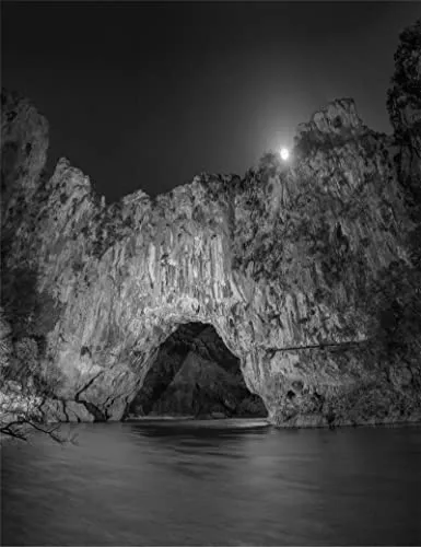 Couverture de Chauvet - Pont D'Arc L'Inappropriable