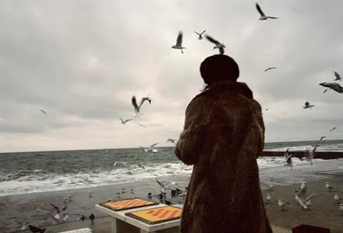 Couverture de Odesa