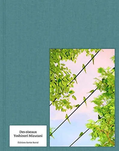 Couverture de Des Oiseaux - Yoshinori Mizutani (English)