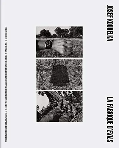 Couverture de La fabrique d'exils