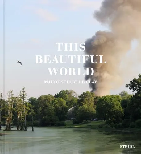 Couverture de This Beautiful World